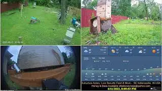 23/6/11 Suburban Back Yard Bee Hive Security Feed & More- Indianapolis, IN