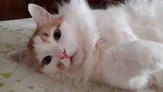 Ну что, Булочка, ты проснулась?