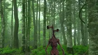 Ты меня снимаешь? ВИДЕО ПРО СИРЕНОГОЛОВОГО, САЙРЕНХЕД.  [siren head]