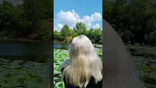 Озеро лотосов🌸