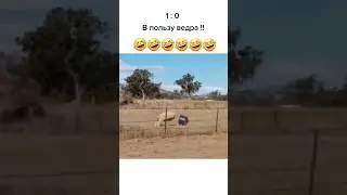 самое смешное видео#2 1:0 в пользу ведра 🤣🤣🤣🤣🔥🔥👍👍