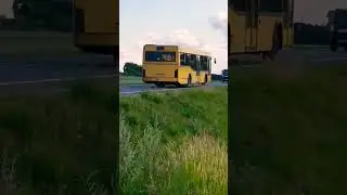 Минская Обл. (Беларусь) | МАЗ-103.562; гос. АХ 3993-5; марш. 885с. (14.07.2023 г.)