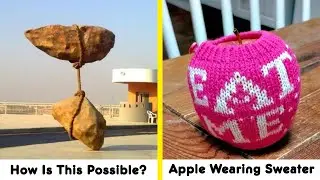 Unexpected Photos Proving Life Can Still Surprise Us