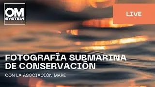 Spanish | Fotografía submarina de conservación con MARE
