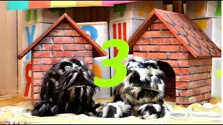 Street of friends 3