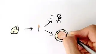 Energy Transfer and Efficiency | GCSE Physics | Doodle Science