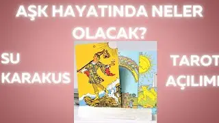 AŞK HAYATINDA NELER OLACAK? | TAROT AÇILIMI SU KARAKUŞ