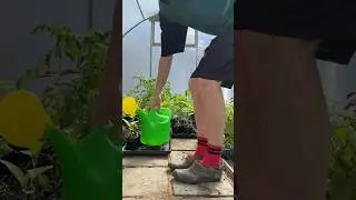 Были готовы к такому маю? 🌿 у нас сегодня целый день снег ❄️ метет, КАК У ВАС ДЕЛА С ПОГОДОЙ ?