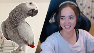 rating your pets