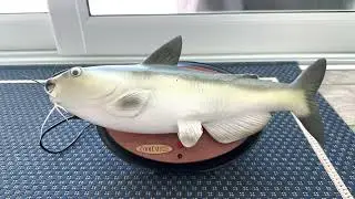 Gemmy Cool Catfish