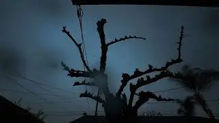 Cloudy Days Timelapse | LoadingHD
