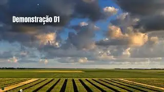 D1 Data Collection System - Portuguese