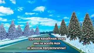 Белоснежная Солнечная Зима в Оттаве Столице Канады