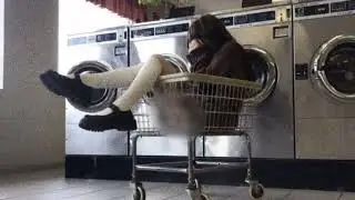 SOCKGOBLIN. - can't feel my legs (ft. Emma Murabito)