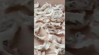 White swiftlets nest