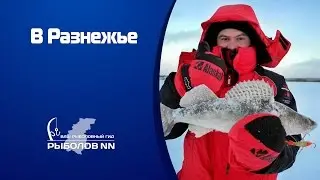 В Разнежье. Рыбалка в Нижегородской области.