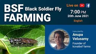 🔴 LIVE: [7PM, 20th June]: What is Black Soldier Fly? (in English)