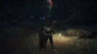 Elden Ring Spiked Palisade Shield Location