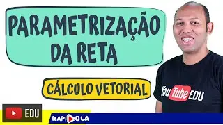 PARAMETRIZAÇÃO DA RETA 🚨🚨 CÁLCULO VETORIAL ✅ 4