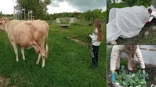 Одна на хозяйстве!!! Деревенский отдых!!! 🐄🌞🌺