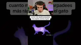 Cuanto Mas Rapido Parpadees Mas Rapido Se Mueve El Gato 