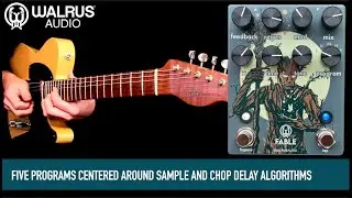 Walrus Audio Fable Granular Soundscape Generator