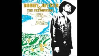 bobby joyner & sundowners -  skies of blue and fields of green