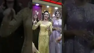 🤣🤣