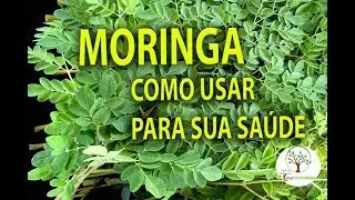 MORINGA IN YOUR HOME, HOW TO USE FOR YOUR HEALTH, Planting at Home
