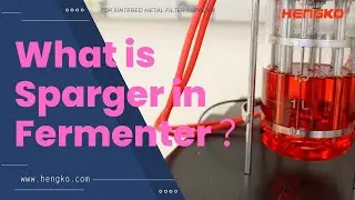 What is Sparger in Fermenter ？Check this Video Know details