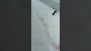 Конькобежный спорт в Красном луче. 27.01.19