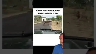 Жизнь начинается, когда заканчивается страх