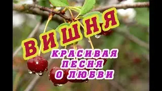 Красивая песня о любви.Вишня. Поёт Валентина Топычканова (слова и музыка Алексея ЛеонЕнкова)