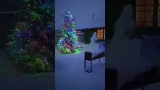 Подсыпало за ночь снежку