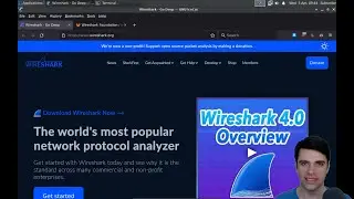 Let's read the Wireshark source code