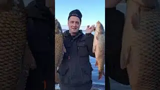 Водомоторный сезон 2024 считаю открытым!🎣🚤 