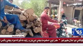 پريالوءِ ابل واهه جي ڪنارن تان سرڪاري وڻن جي واڍي جو سلسلو جاري