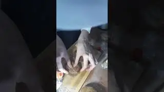 Как приготовить бургер? 