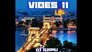 Vibes 11
