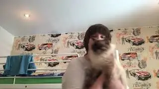Кот танцует под Skrillex!!! Смотреть всем!!!