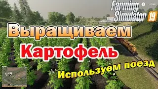 Farming Simulator 19 - Картофель. Как продать?