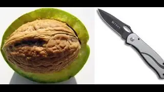 Как чистить зеленые орехи ножом