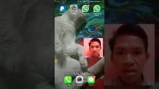 Cara Menggandakan Aplikasi Whatsapp (wa) Di Hp Oppo