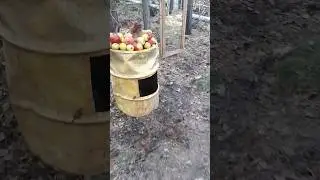 Поляна накрыта. Кто первый?