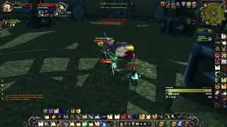Feral and Shockadin