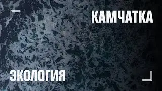Экологическая катастрофа на Камчатке