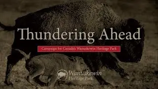 Wanuskewin Heritage Park:  Thundering Ahead - Archaeology