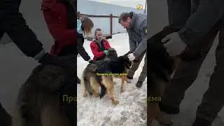 А как проходят ваши рабочие будни? 😉
