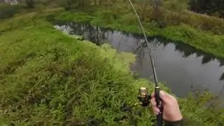 Сначало не клевало, потом совсем перестало!!