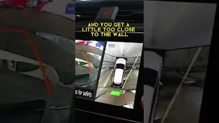 The Nissan Leaf stops on its OWN Nissan Intelligent Emergency Braking